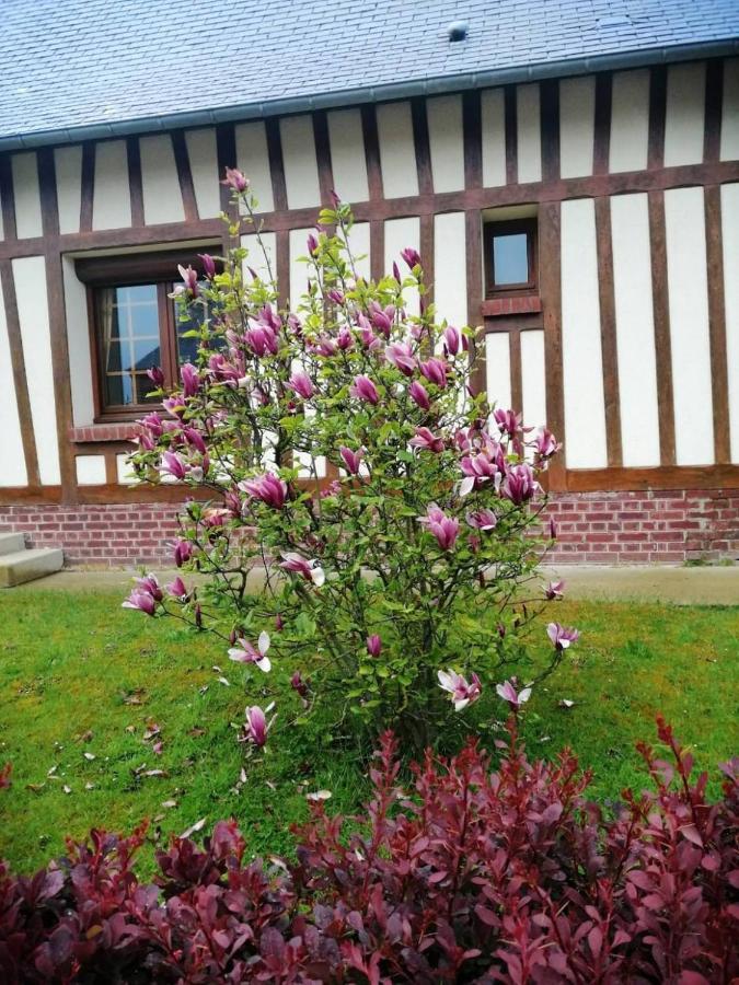 Wijitta Villa Auquemesnil Dış mekan fotoğraf